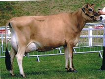 ultramarine 4th lact